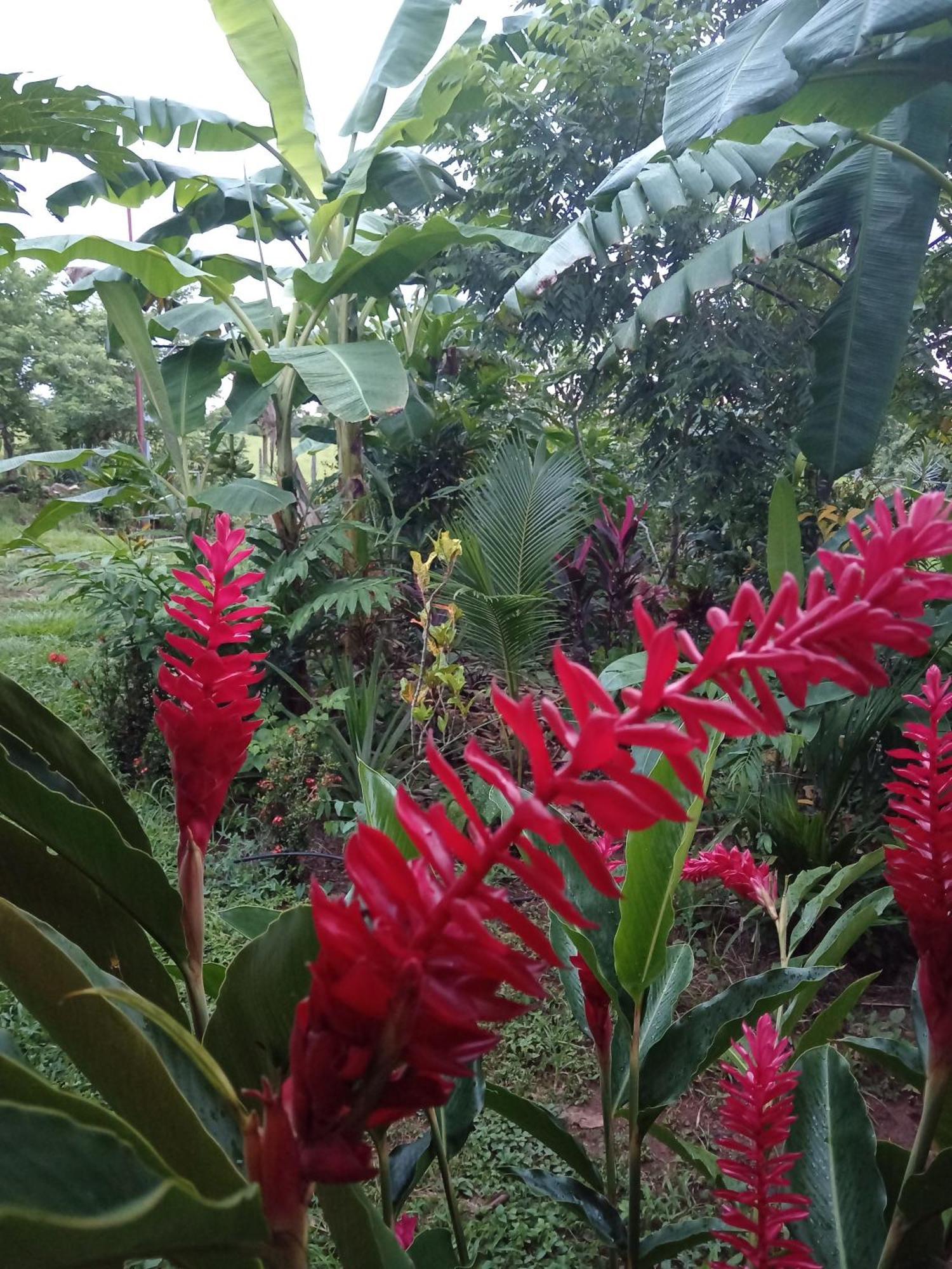 Casa Lapa Delicias Holiday home Montezuma