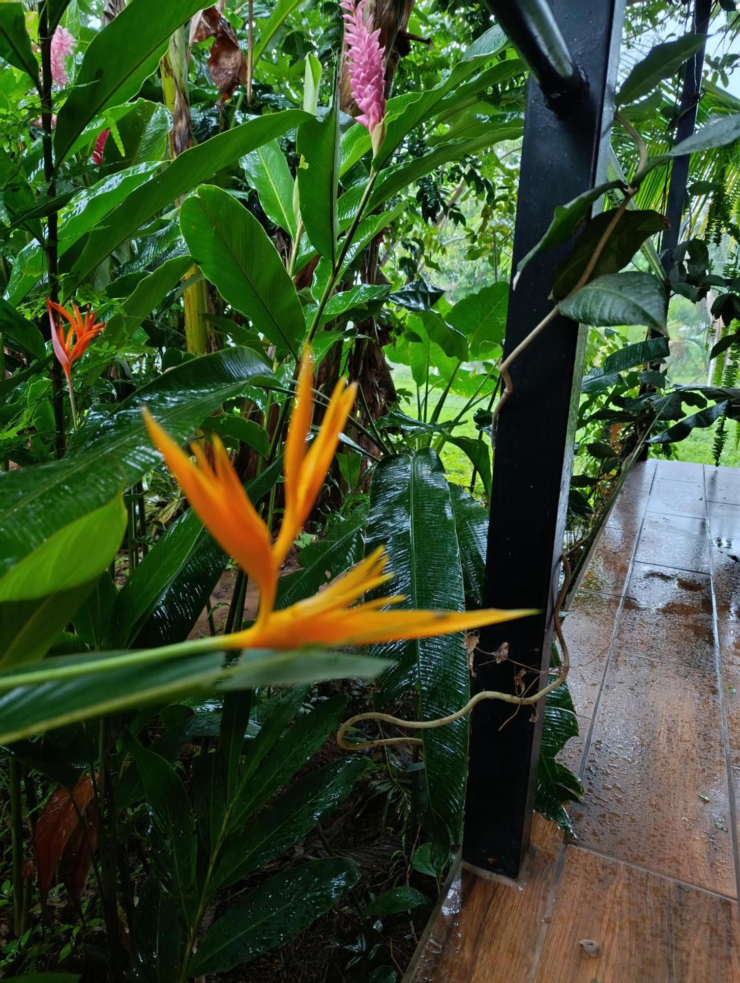 Casa Lapa Delicias Holiday home *