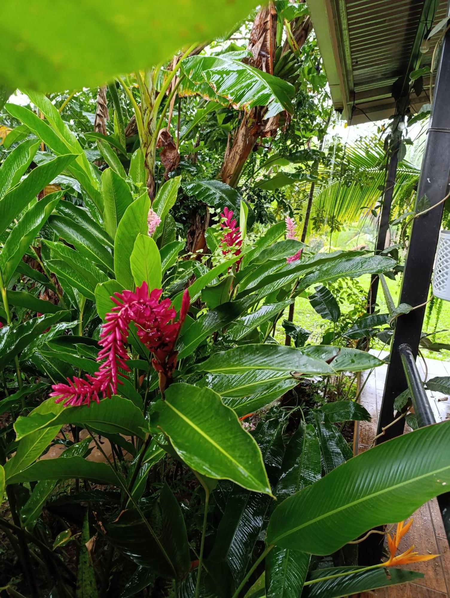 Casa Lapa Delicias Holiday home